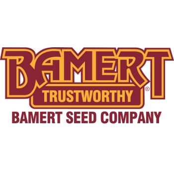 Bamert Seed